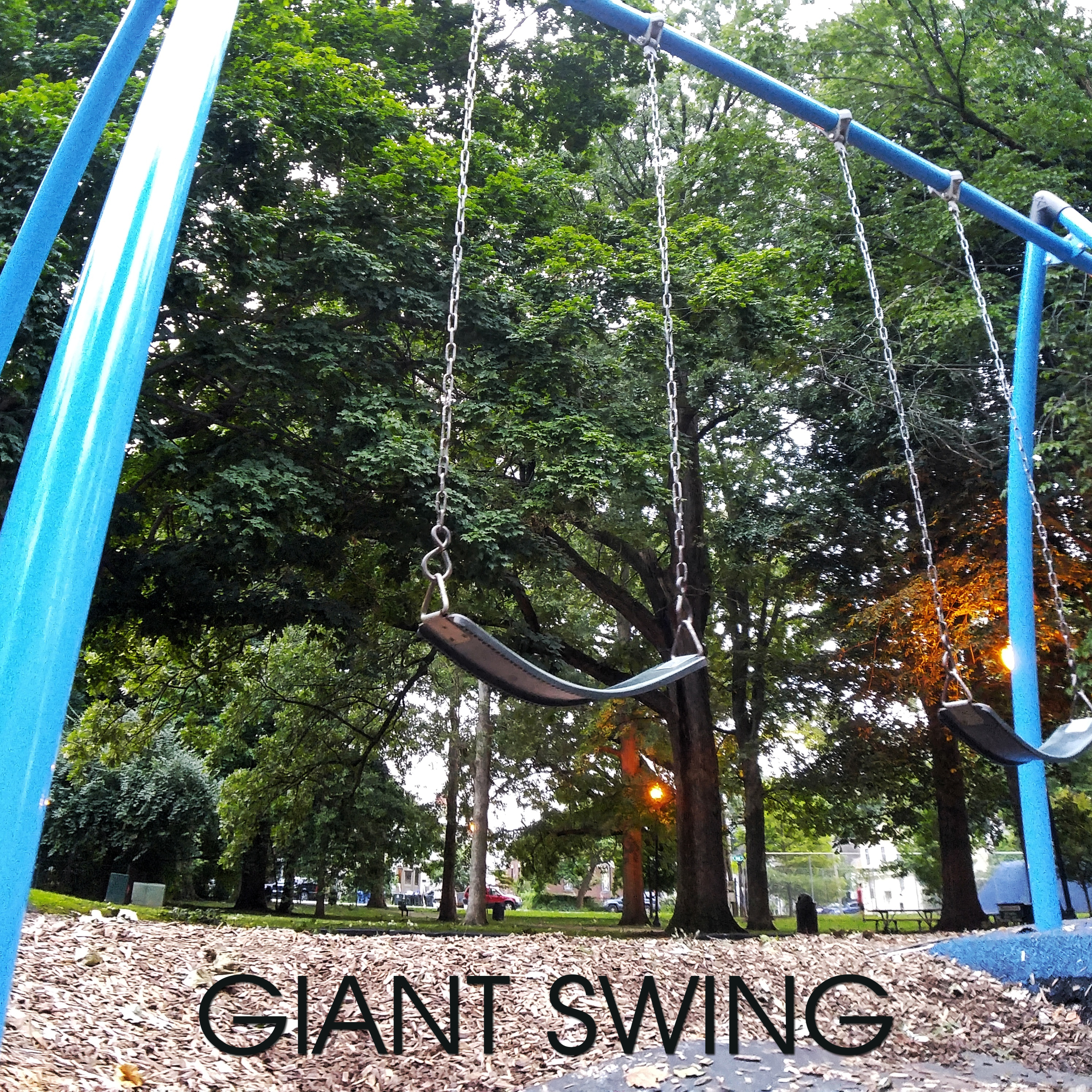 Front Cover of "Giant Swing"